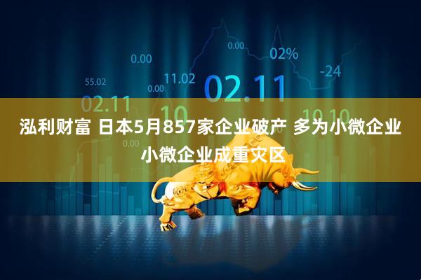泓利财富 日本5月857家企业破产 多为小微企业 小微企业成重灾区