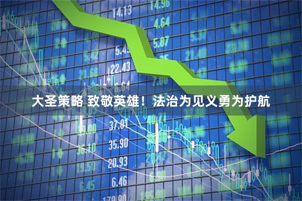 大圣策略 致敬英雄！法治为见义勇为护航