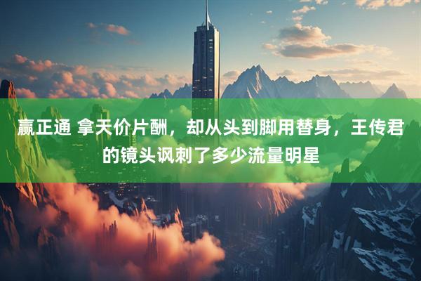 赢正通 拿天价片酬，却从头到脚用替身，王传君的镜头讽刺了多少流量明星