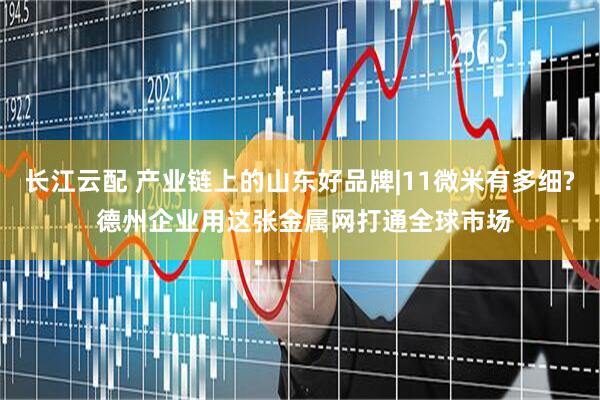 长江云配 产业链上的山东好品牌|11微米有多细? 德州企业用这张金属网打通全球市场